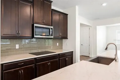 11641 Sweet Tangerine Lane Tampa FL 33626