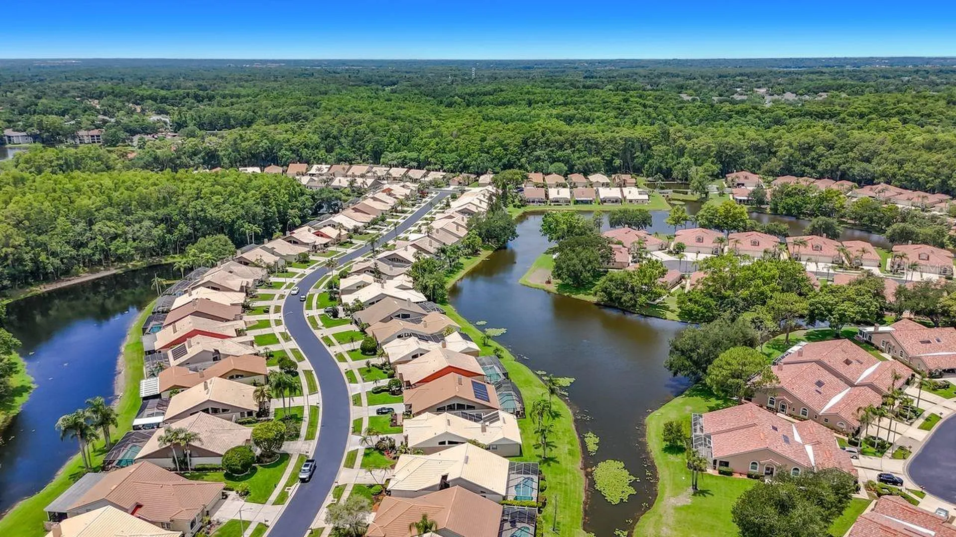 5569 Greyston Street Palm Harbor FL 34685