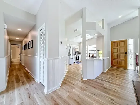 5569 Greyston Street Palm Harbor FL 34685