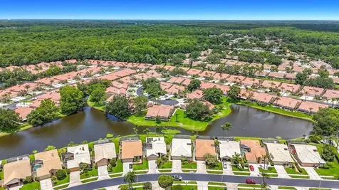 5569 Greyston Street Palm Harbor FL 34685