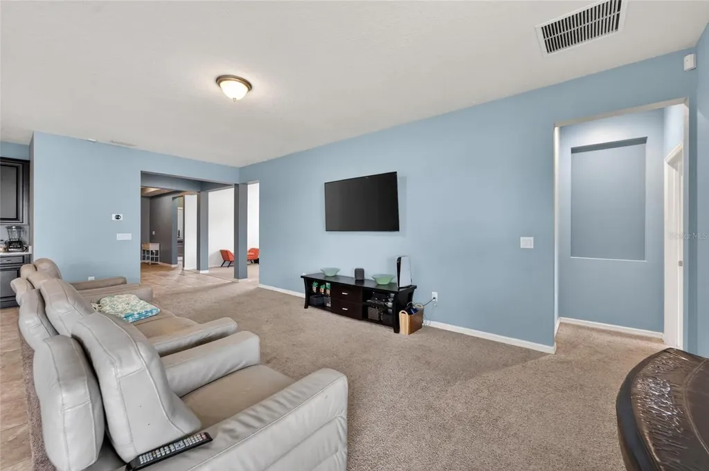 11621 Tetrafin Drive Riverview FL 33579