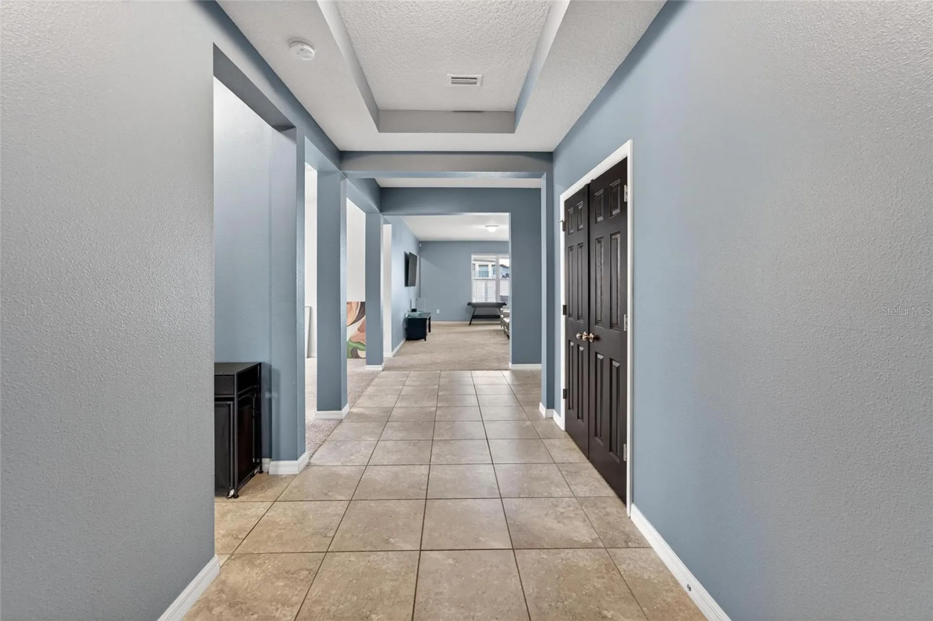 11621 Tetrafin Drive Riverview FL 33579