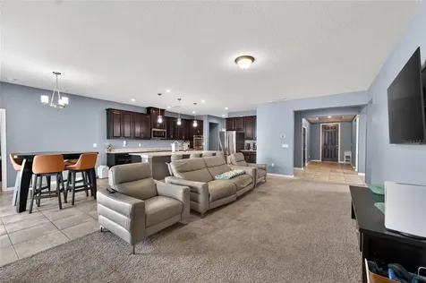 11621 Tetrafin Drive Riverview FL 33579