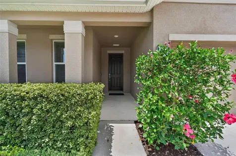 11621 Tetrafin Drive Riverview FL 33579