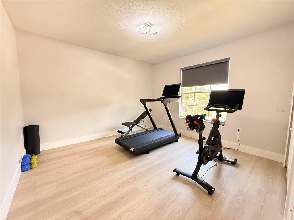5802 Coquyt Drive Mount Dora FL 32757
