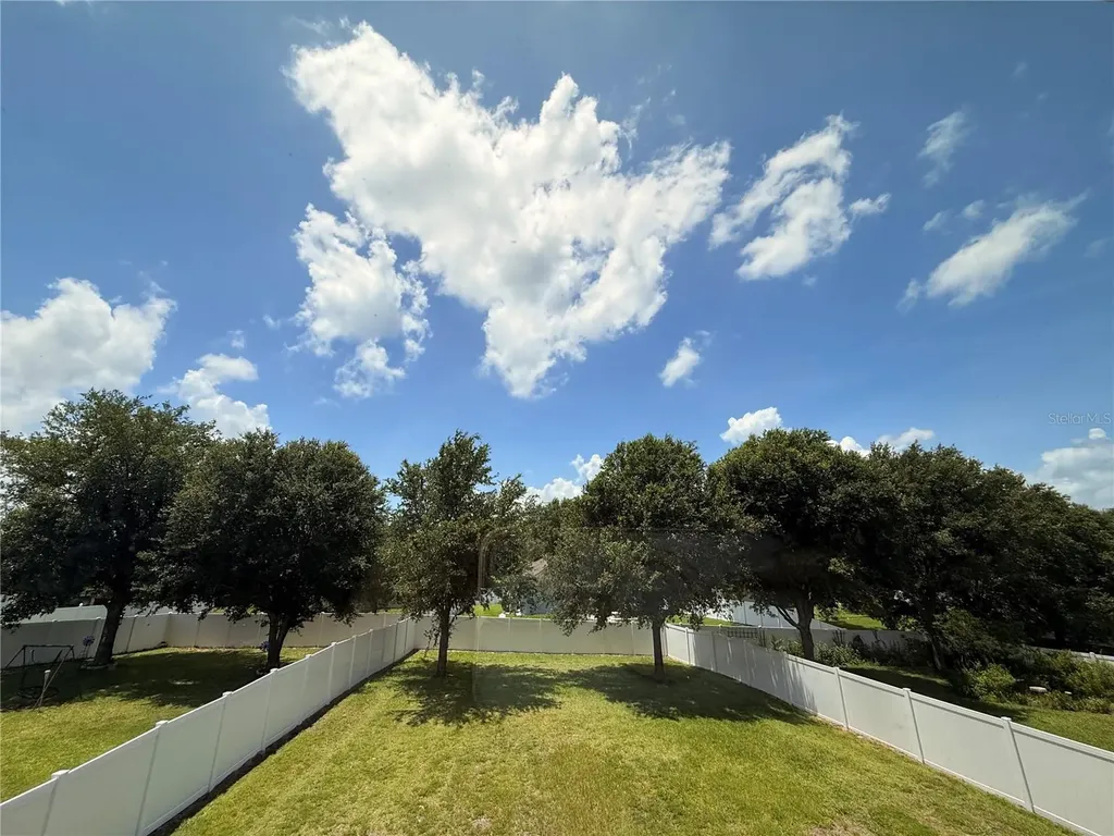5802 Coquyt Drive Mount Dora FL 32757