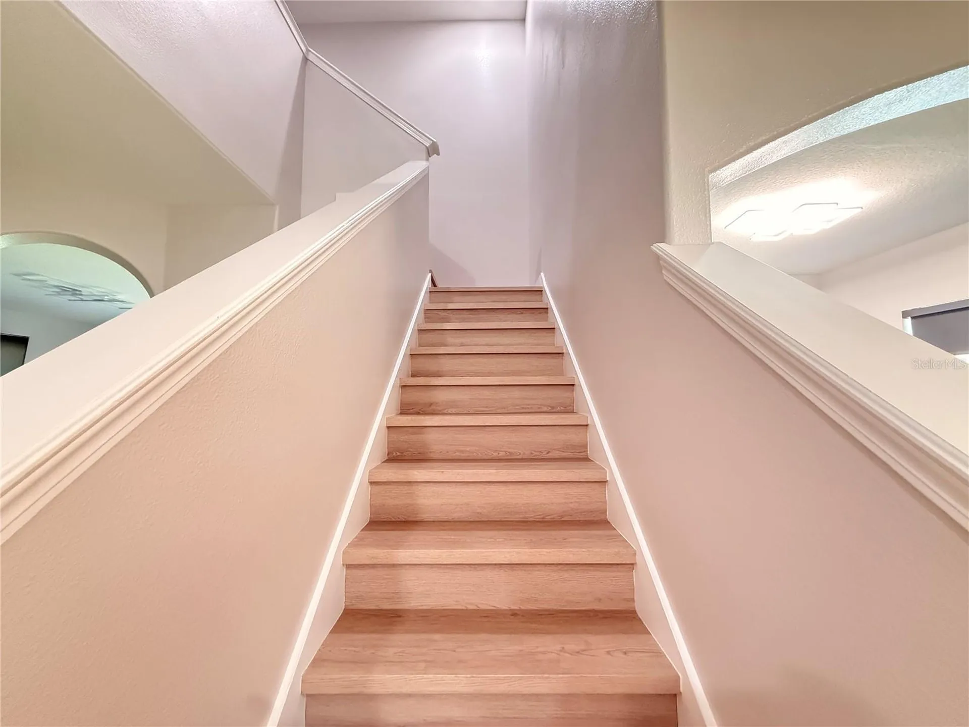 5802 Coquyt Drive Mount Dora FL 32757