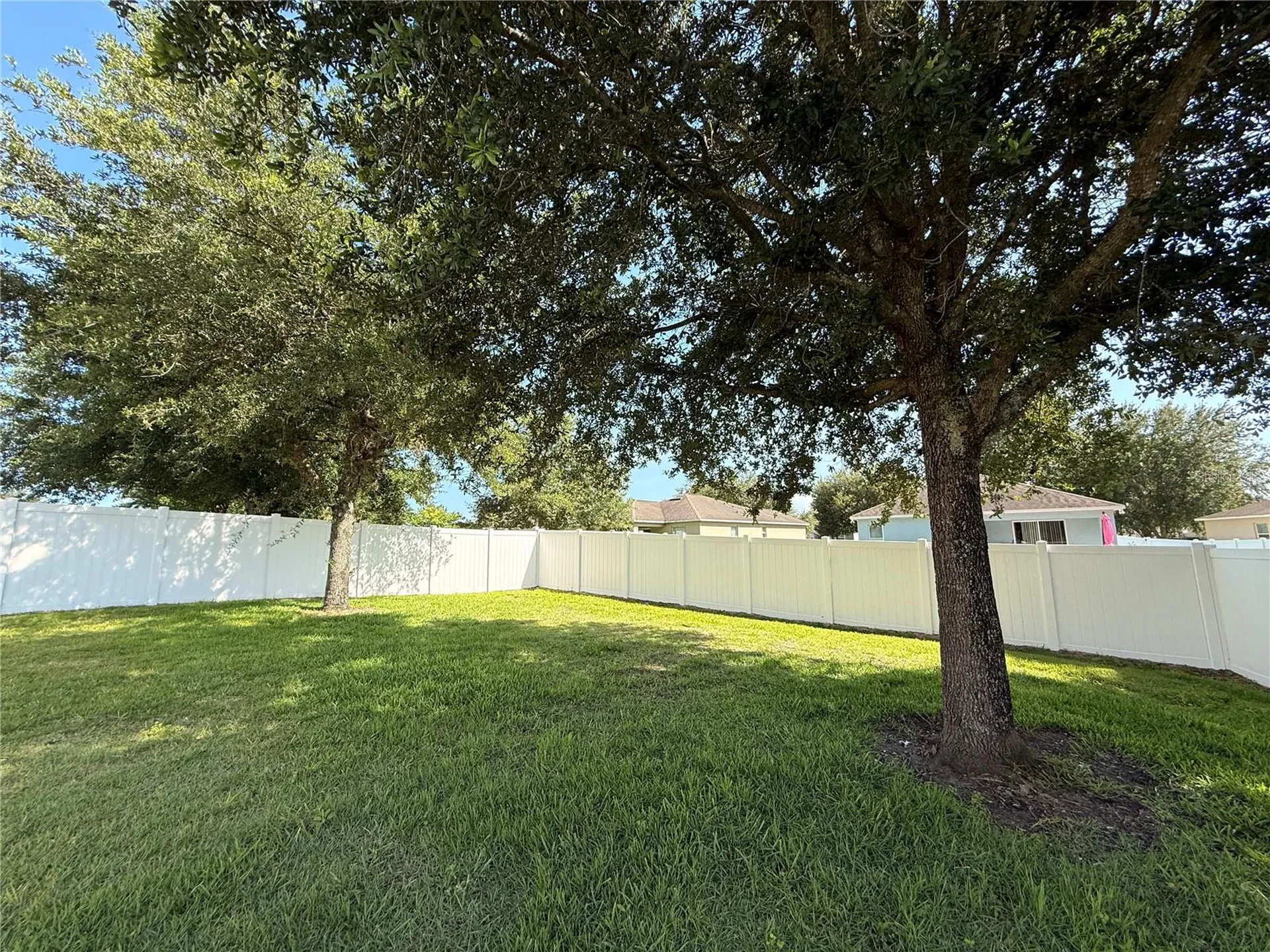 5802 Coquyt Drive Mount Dora FL 32757