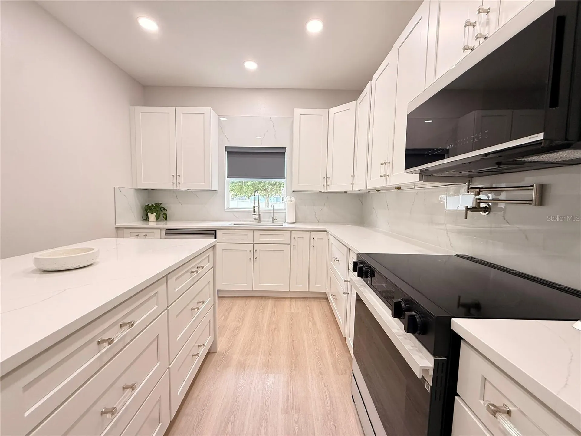 5802 Coquyt Drive Mount Dora FL 32757