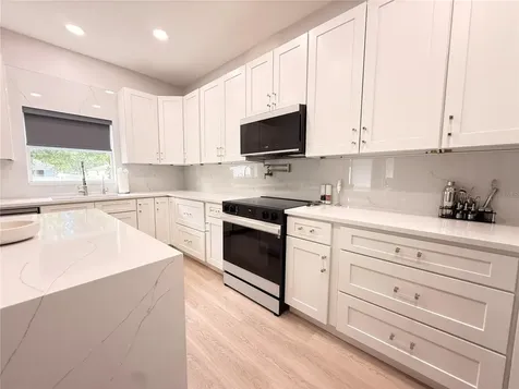 5802 Coquyt Drive Mount Dora FL 32757