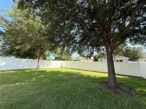 5802 Coquyt Drive Mount Dora FL 32757