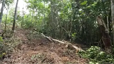 Carr 646 Km 7.2 Bo Río Arriba Vega Baja PR 00693