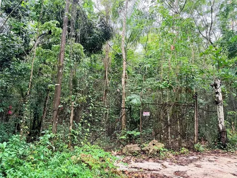 Carr 646 Km 7.2 Bo Río Arriba Vega Baja PR 00693