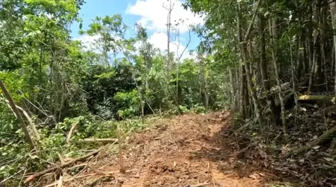 Carr 646 Km 7.2 Bo Río Arriba Vega Baja PR 00693