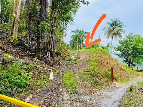Carr 646 Km 7.2 Bo Río Arriba Vega Baja PR 00693