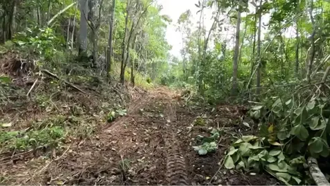 Carr 646 Km 7.2 Bo Río Arriba Vega Baja PR 00693