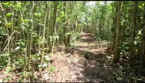 Carr 646 Km 7.2 Bo Río Arriba Vega Baja PR 00693