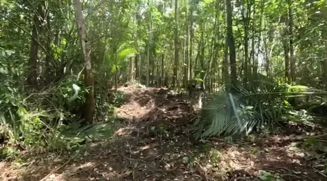 Carr 646 Km 7.2 Bo Río Arriba Vega Baja PR 00693