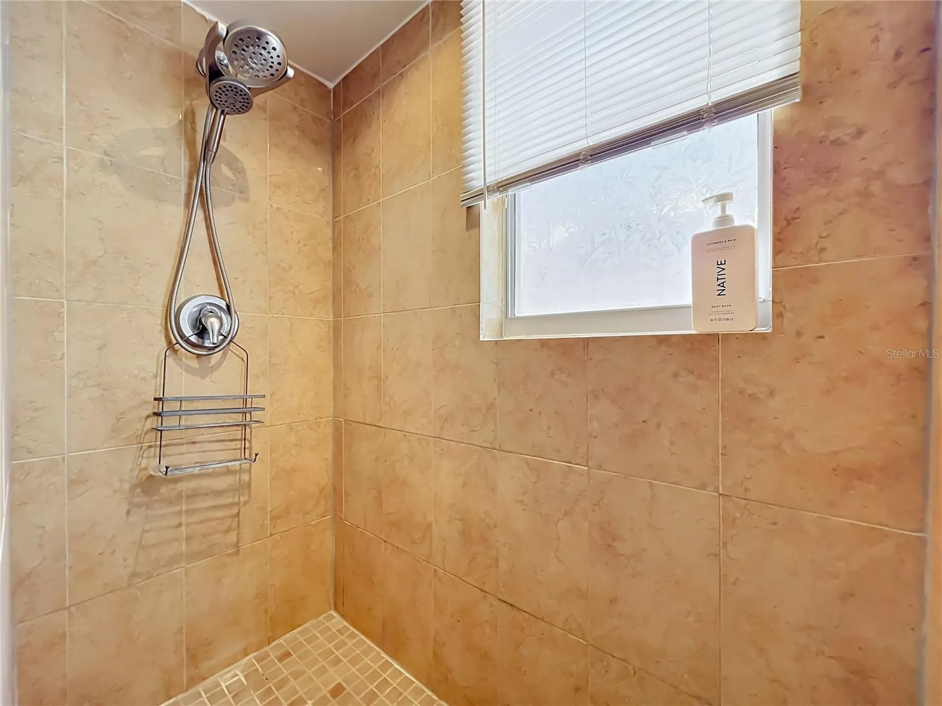 197 Tulip Way Kissimmee FL 34743