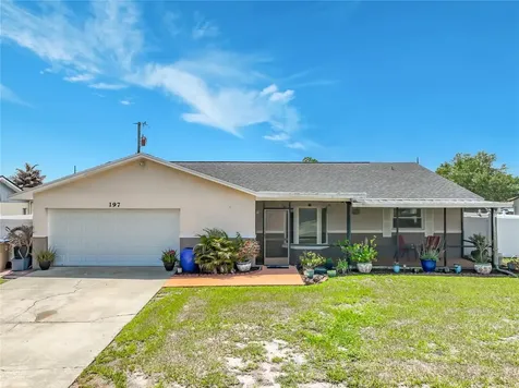 197 Tulip Way Kissimmee FL 34743