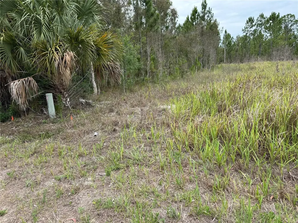 1009 Jackson Avenue Lehigh Acres FL 33972