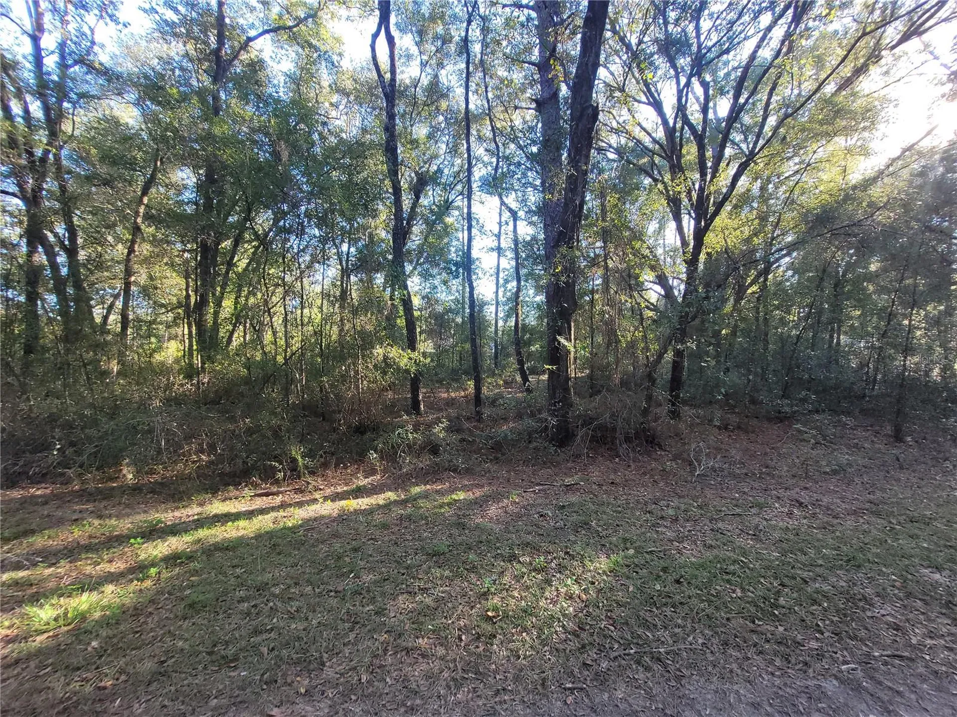 0 SW 22nd Place Ocala FL 34481