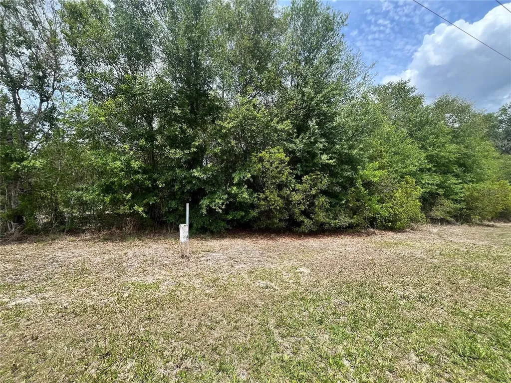 0 NW County Road 229 Starke FL 32091