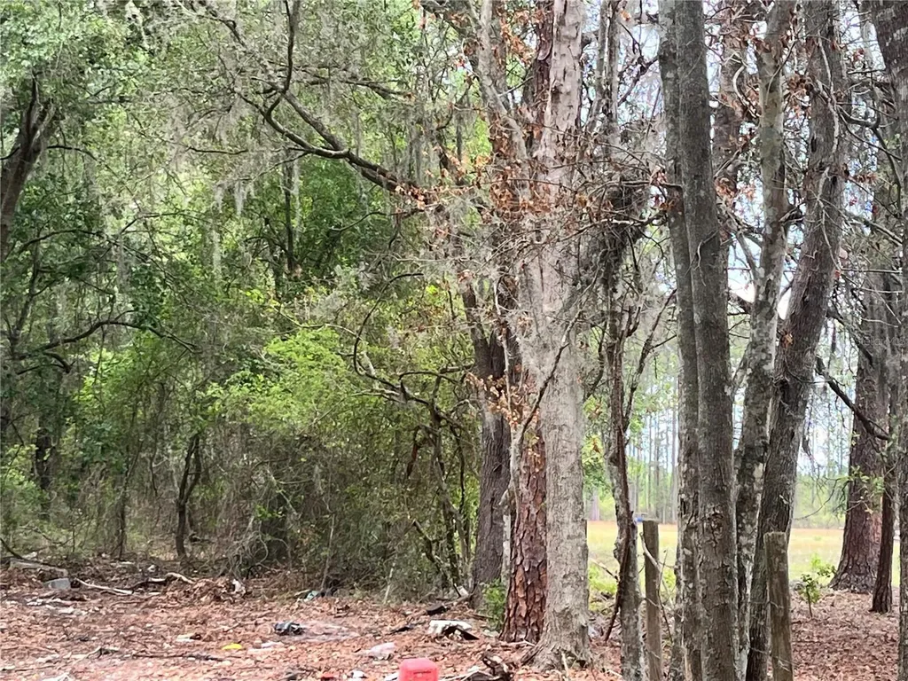0 NW County Road 229 Starke FL 32091