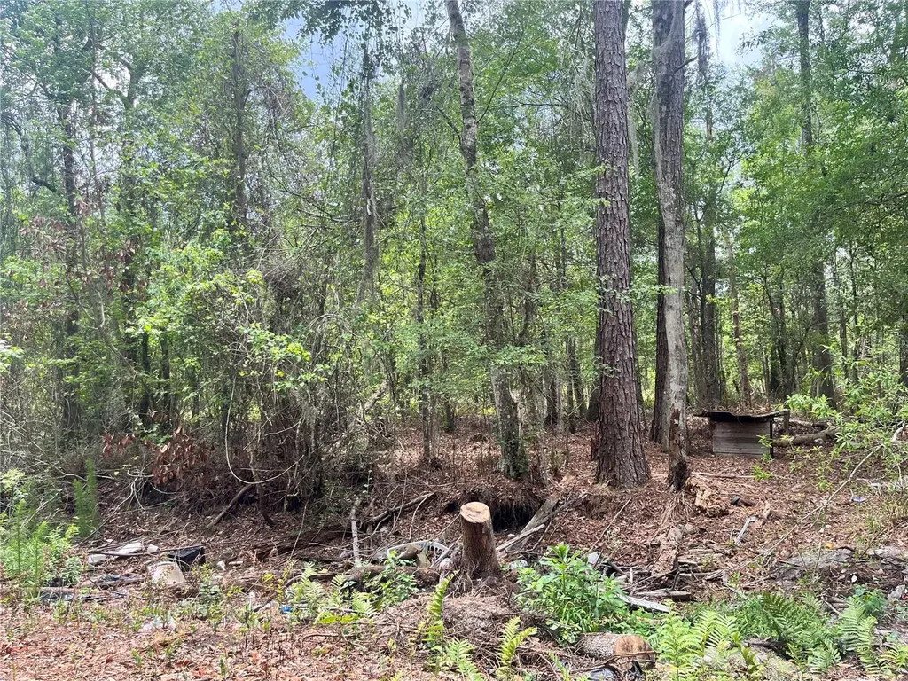 0 NW County Road 229 Starke FL 32091