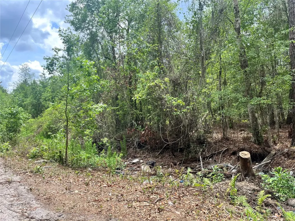 0 NW County Road 229 Starke FL 32091