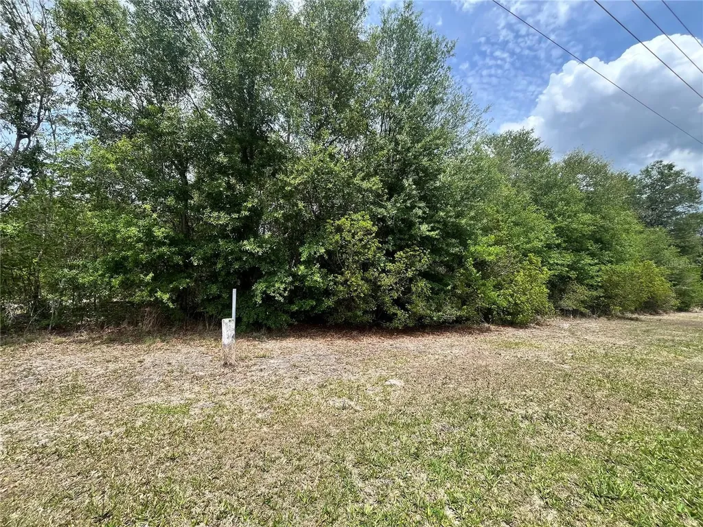 0 NW County Road 229 Starke FL 32091
