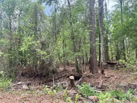 0 NW County Road 229 Starke FL 32091