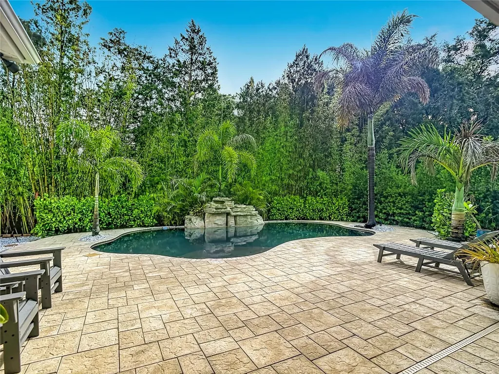 15401 Azra Drive Odessa FL 33556