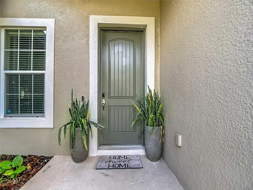 15401 Azra Drive Odessa FL 33556