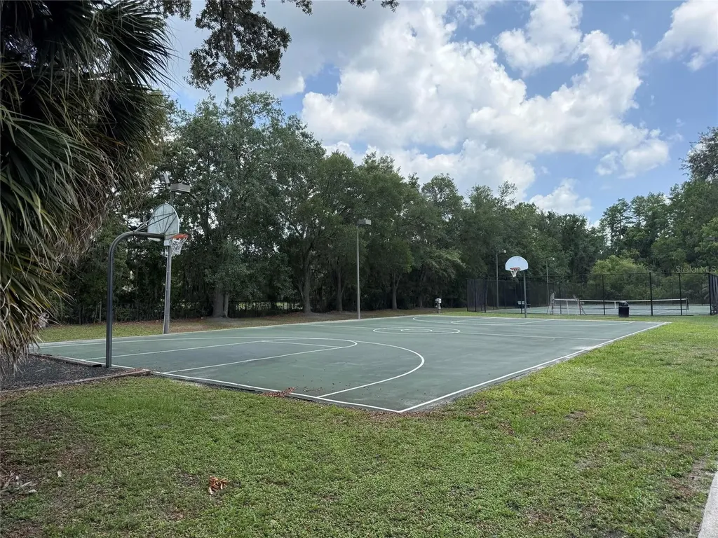 15401 Azra Drive Odessa FL 33556