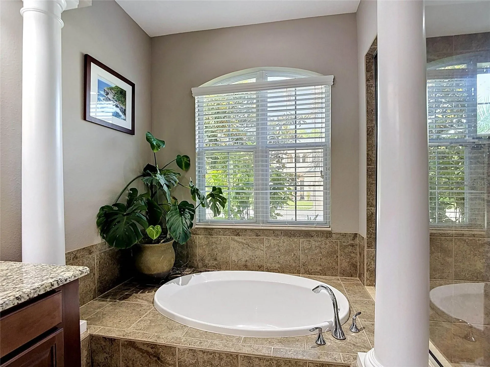 15401 Azra Drive Odessa FL 33556
