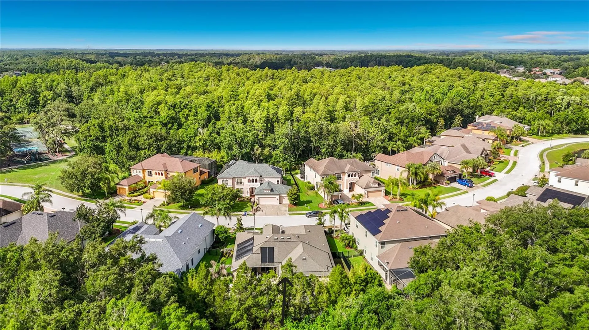 15401 Azra Drive Odessa FL 33556