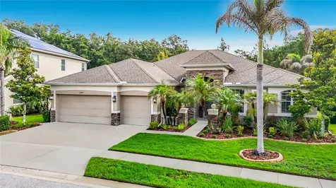 15401 Azra Drive Odessa FL 33556