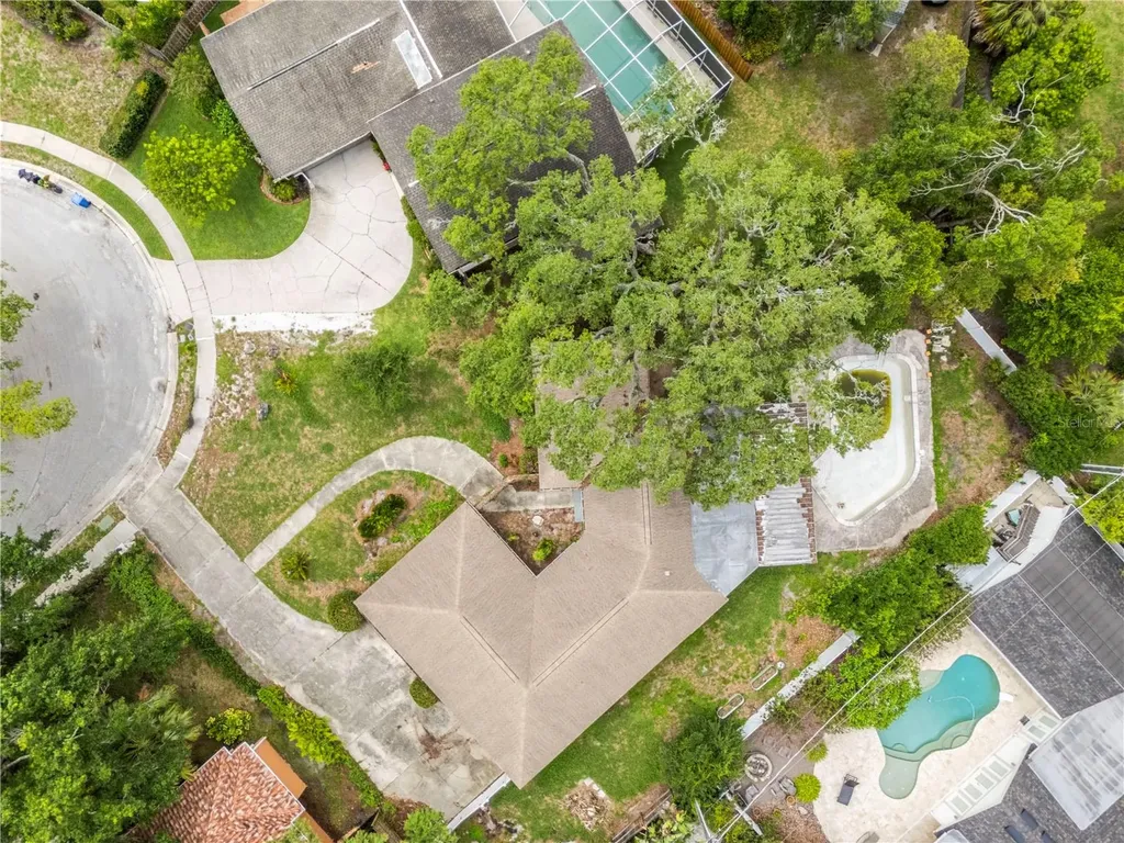 10309 Reclinata Lane Tampa FL 33618