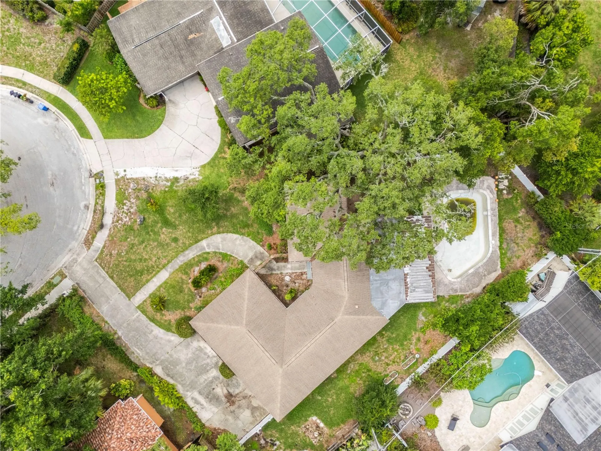 10309 Reclinata Lane Tampa FL 33618