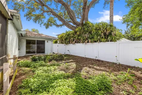 10309 Reclinata Lane Tampa FL 33618