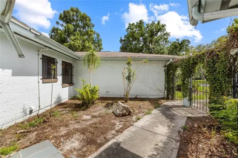 10309 Reclinata Lane Tampa FL 33618