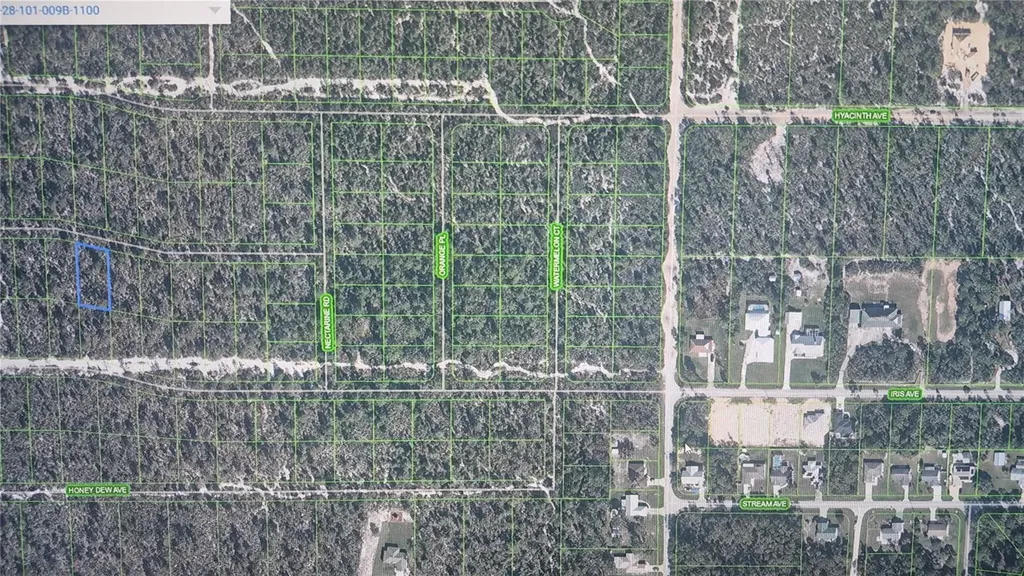 2137 Bird Of Paradise Avenue Sebring FL 33875