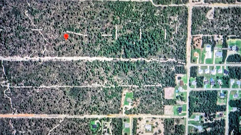 2137 Bird Of Paradise Avenue Sebring FL 33875
