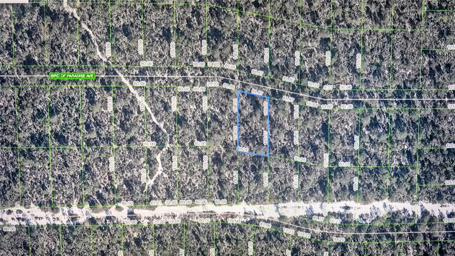 2137 Bird Of Paradise Avenue Sebring FL 33875