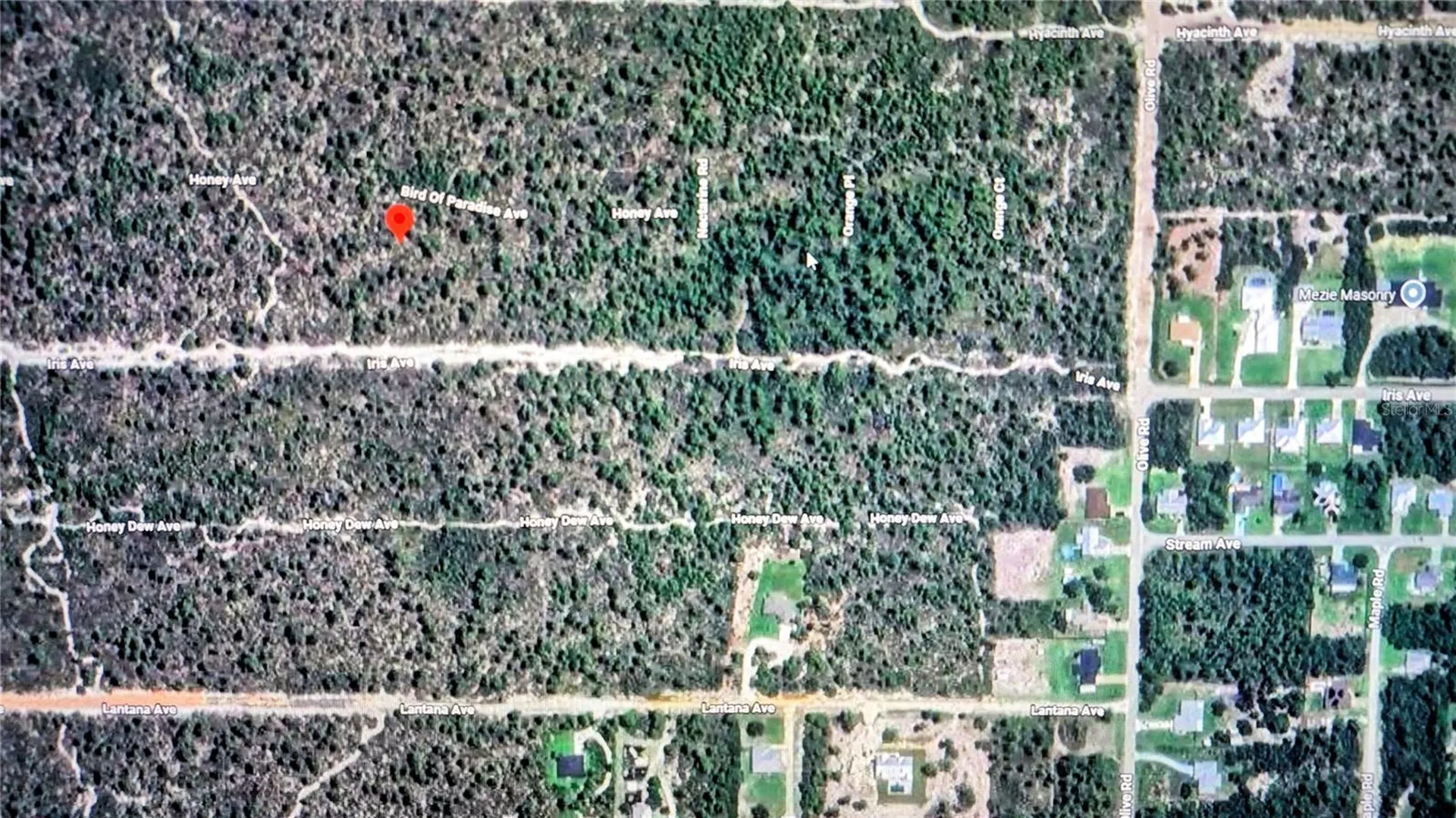 2137 Bird Of Paradise Avenue Sebring FL 33875
