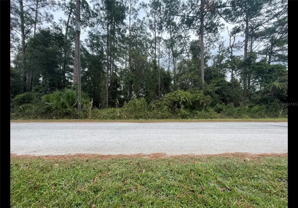 Cr 173e Wildwood FL 34785