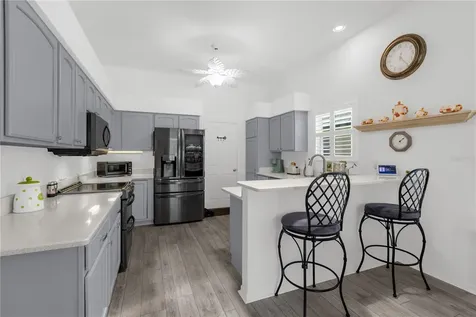 521 Carrera Drive The Villages FL 32159