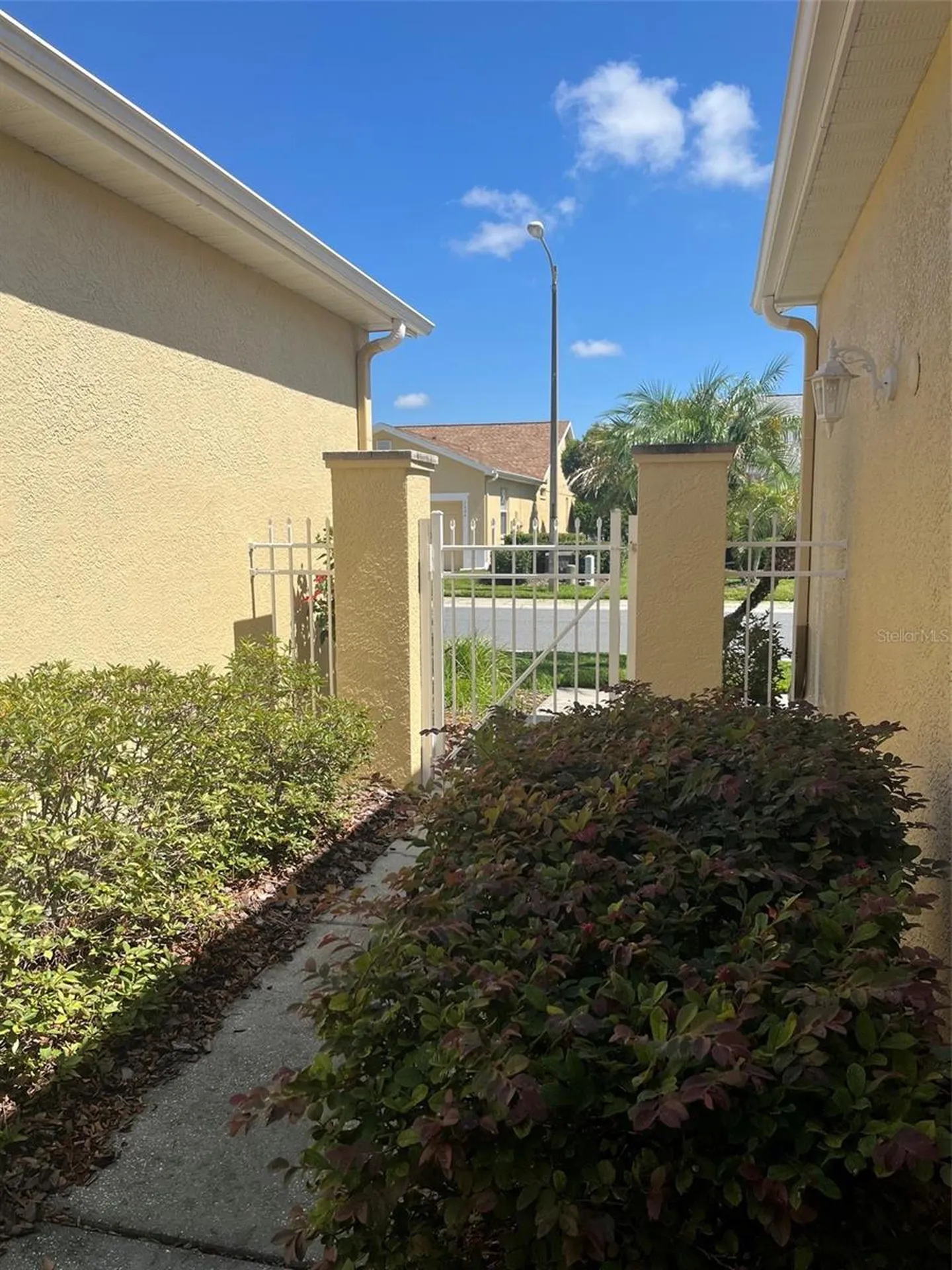 7211 Cleopatra Drive Land O Lakes FL 34637