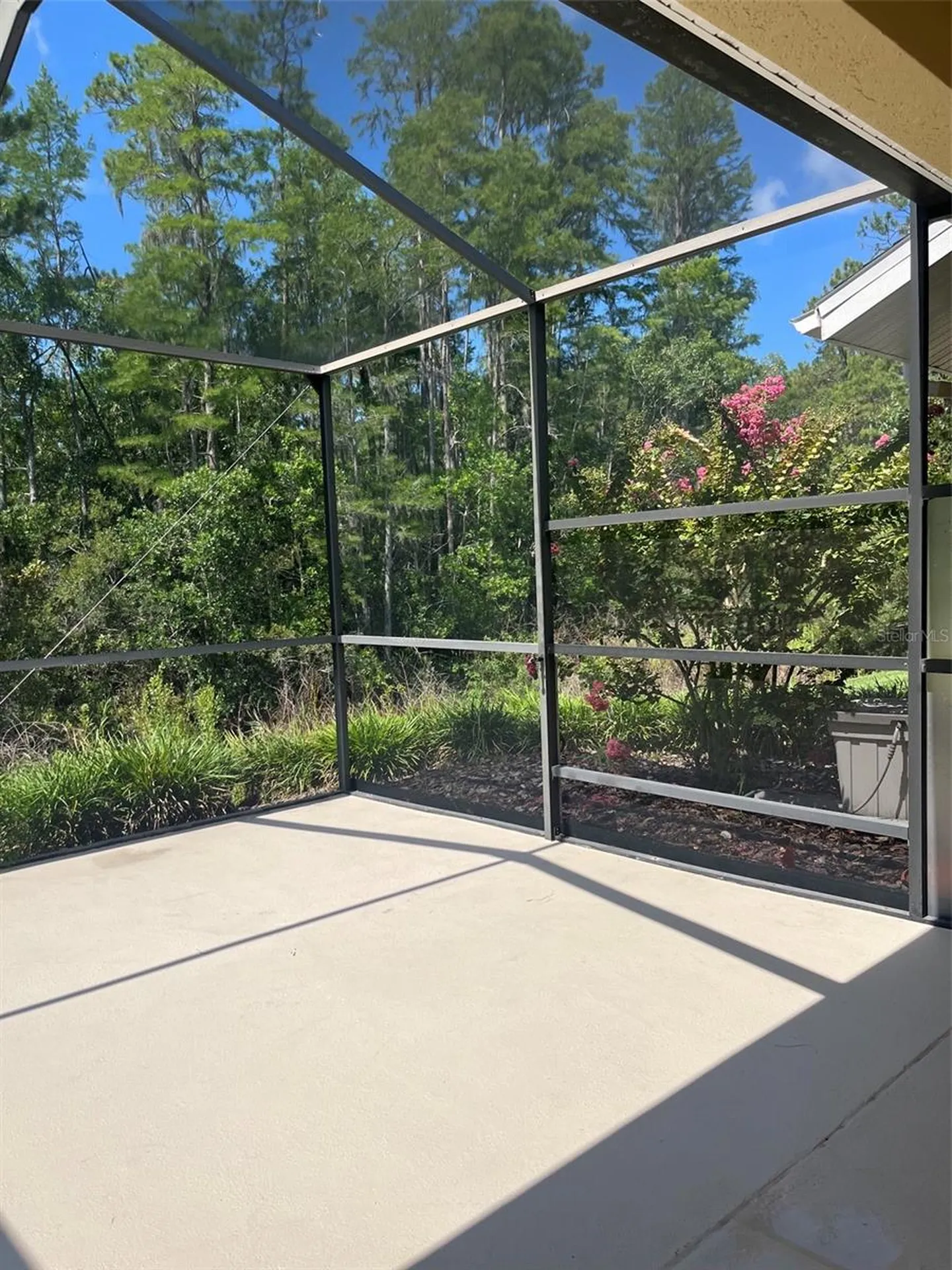 7211 Cleopatra Drive Land O Lakes FL 34637
